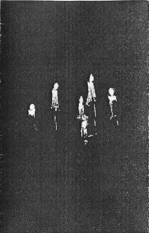 Aniquilación : Ritual de Destrucción